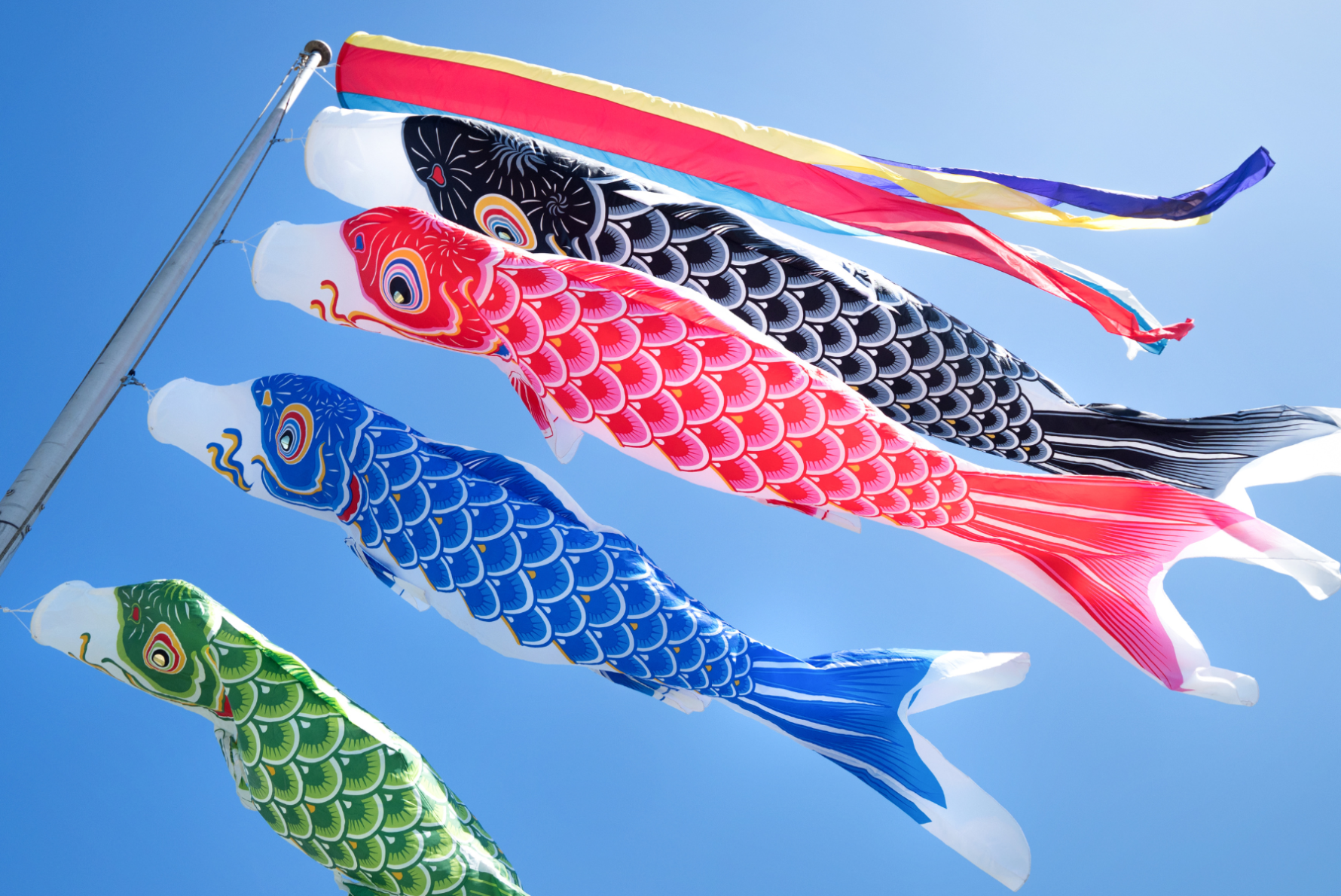 「鯉のぼり」から庭について考える